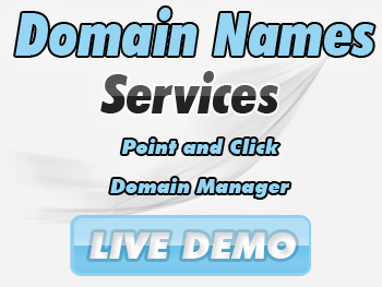 Bargain domain name services
